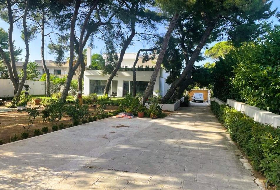 Apartament Casa Morgana Giovinazzo Zewnętrze zdjęcie