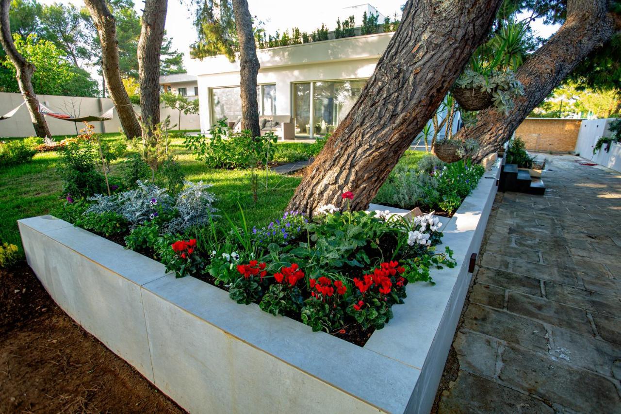 Apartament Casa Morgana Giovinazzo Zewnętrze zdjęcie